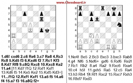 نکات آموزشی سایت صفحه شطرنج